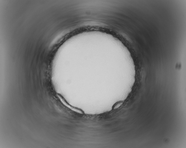 X0000111880775200908201256