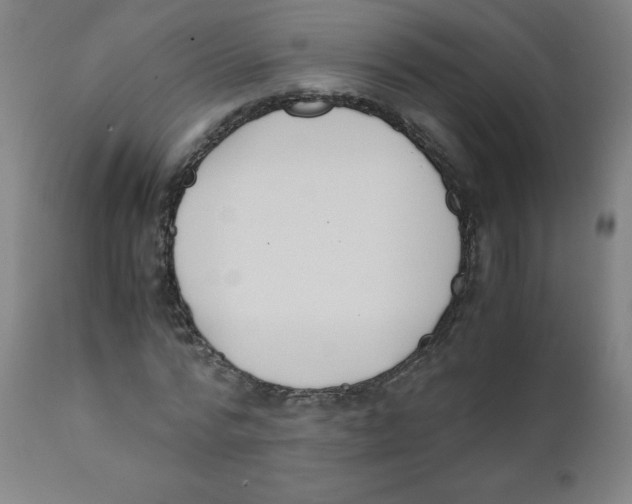 X0000111880776200908201256