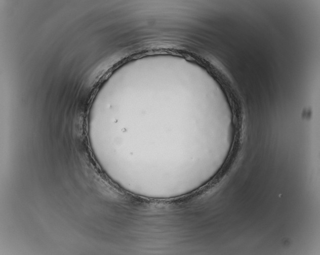 X0000111880777200908201256