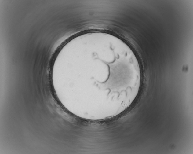 X0000111880779200908201256