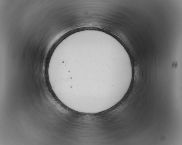 X0000111880780200908201256