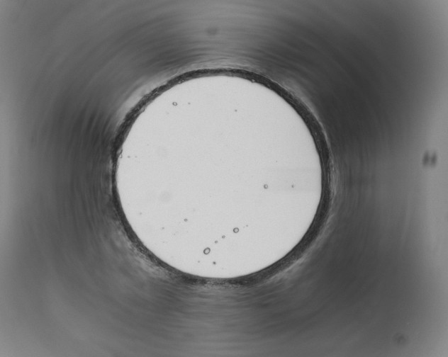 X0000111880781200908201256