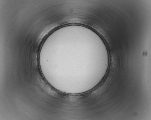X0000111880782200908201256