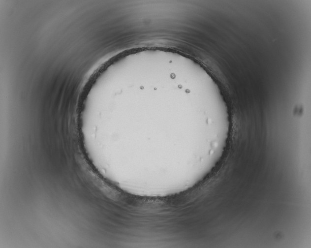 X0000111880784200908201256