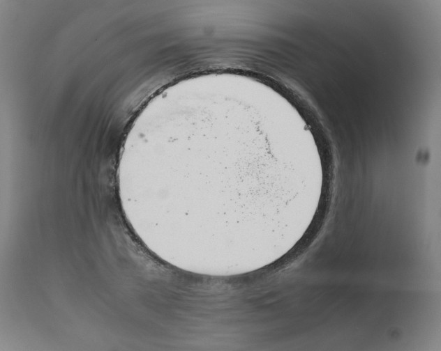 X0000111880785200908201256