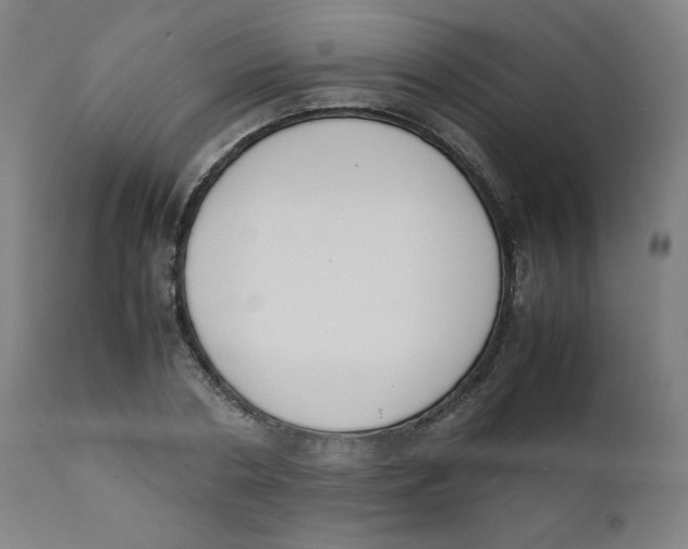 X0000111880786200908201256