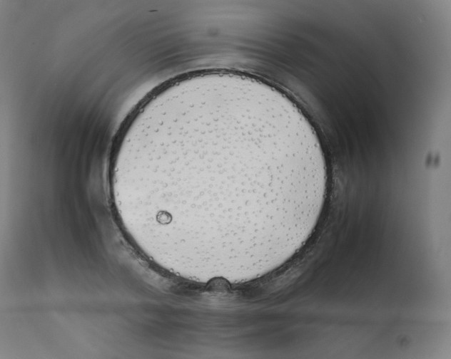 X0000111880788200908201256