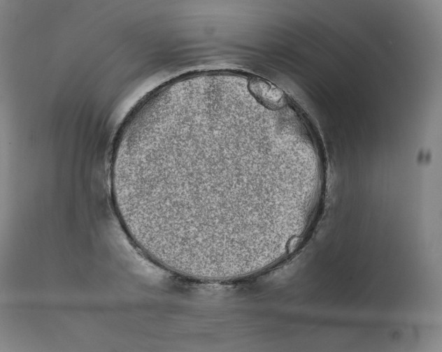 X0000111880789200908201256