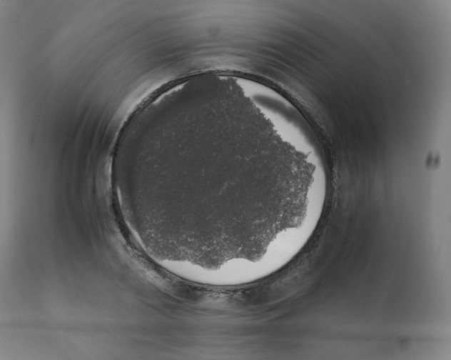 X0000111880790200908201256