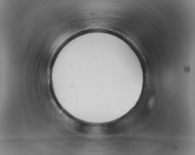 X0000111880791200908201256
