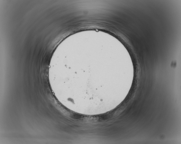 X0000111880793200908201256