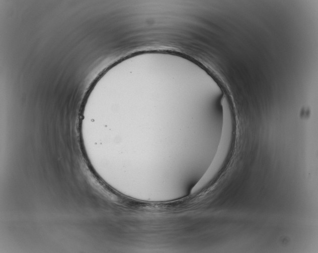 X0000111880797200908201256