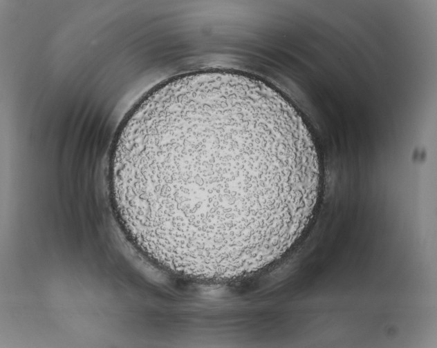 X0000111880798200908201256