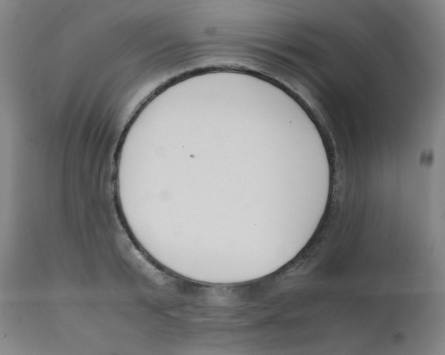 X0000111880799200908201256