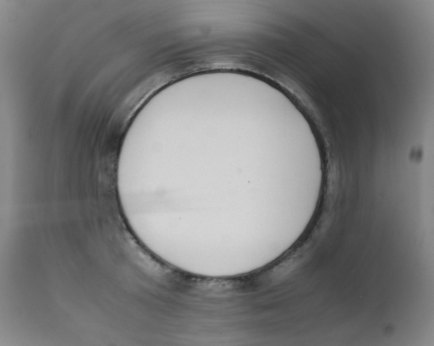 X0000111880801200908201256