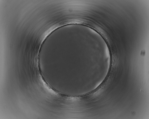 X0000111880802200908201256