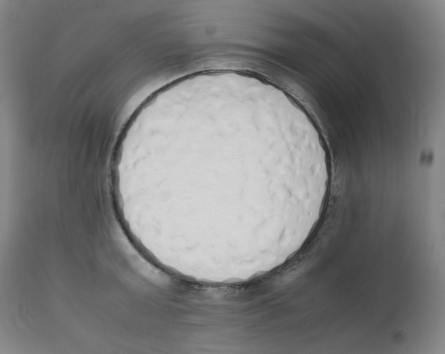 X0000111880803200908201256