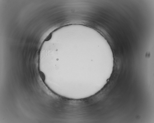 X0000111880804200908201256