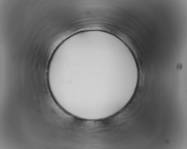 X0000111880805200908201256