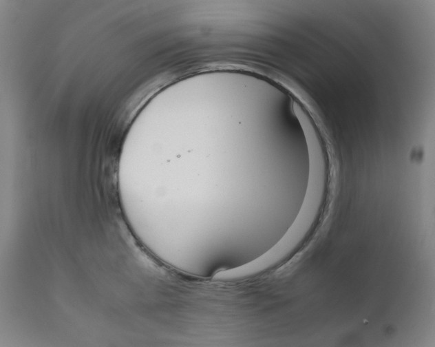 X0000111880809200908201256