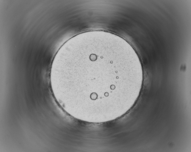 X0000111880810200908201256