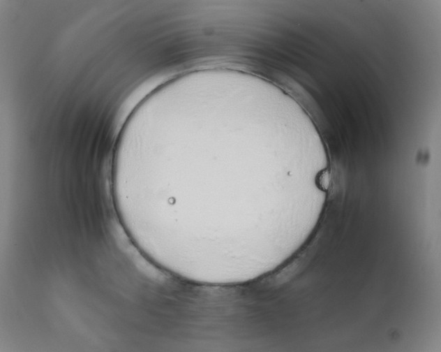 X0000111880812200908201256