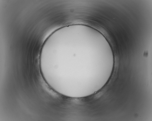 X0000111880814200908201256