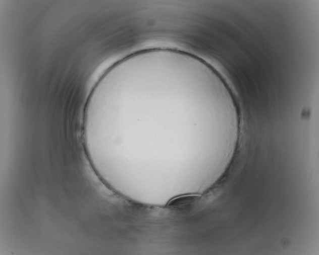 X0000111880815200908201255