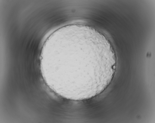 X0000111880816200908201255