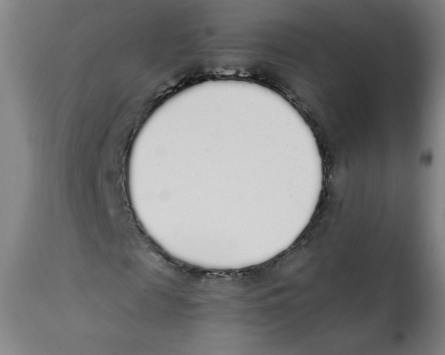 X0000111880817200908201255