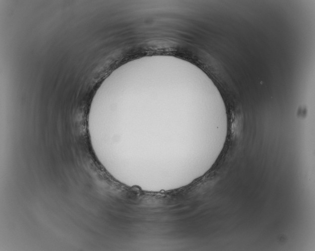X0000111880819200908201255