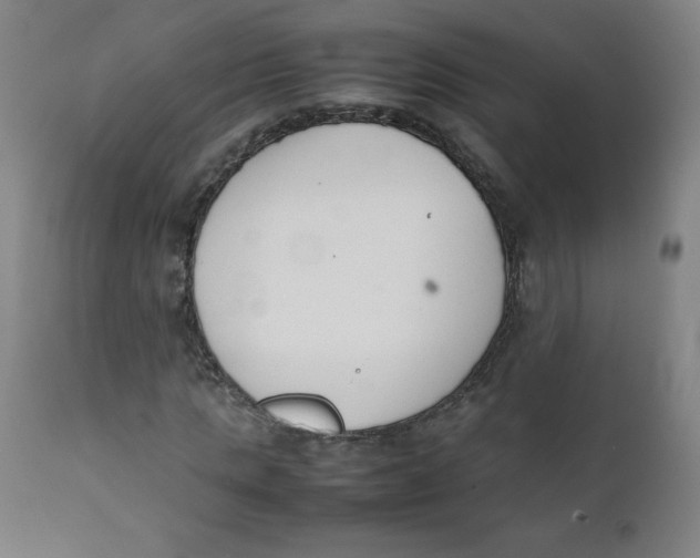 X0000111880821200908201255