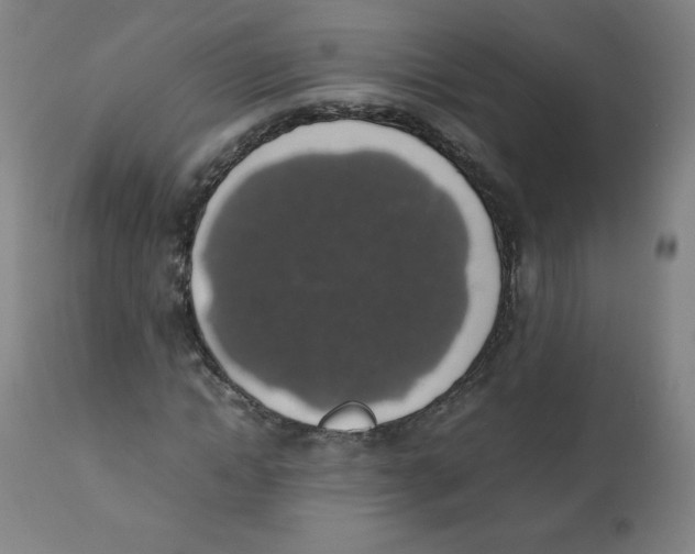X0000111880822200908201255