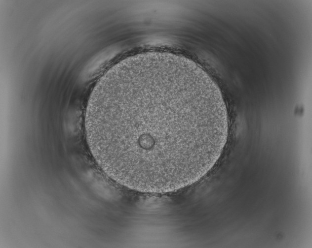 X0000111880824200908201255