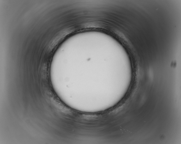 X0000111880825200908201255