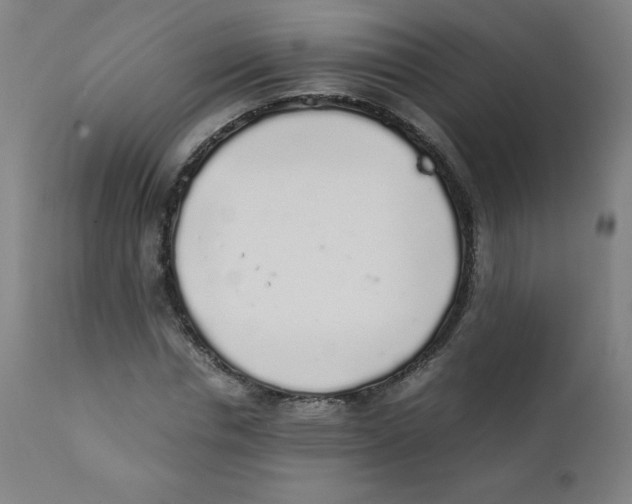 X0000111880826200908201255