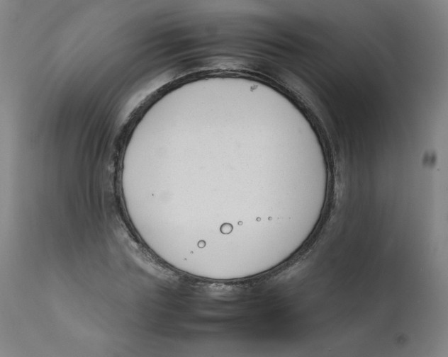 X0000111880827200908201255