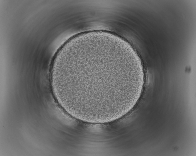 X0000111880828200908201255