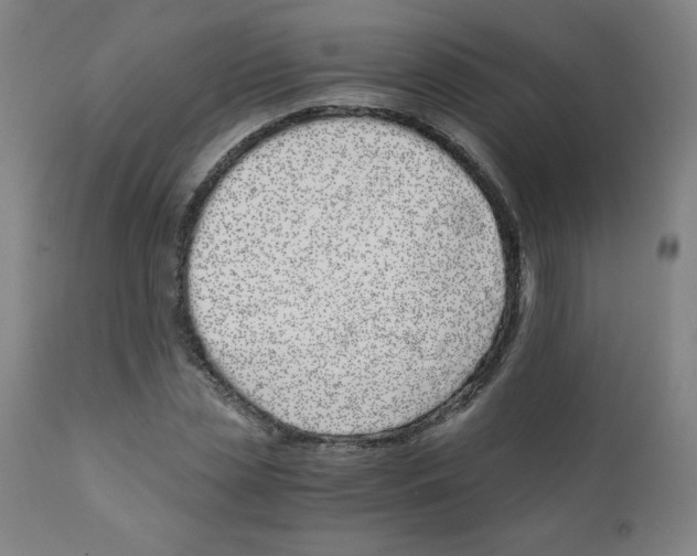 X0000111880829200908201255