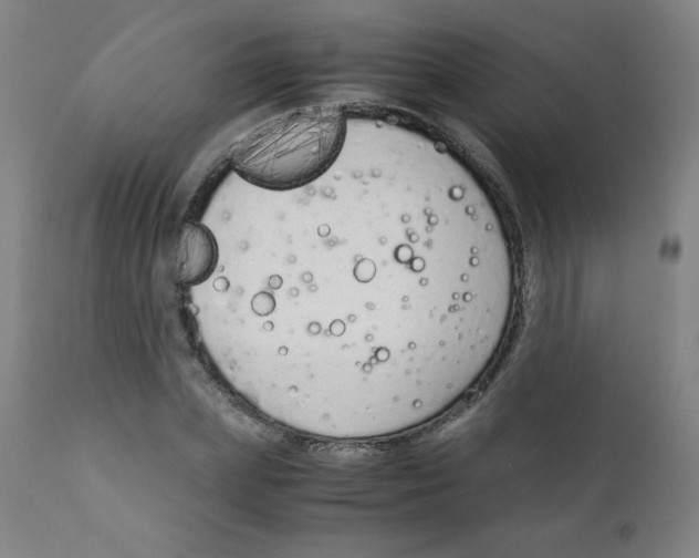 X0000111880831200908201255