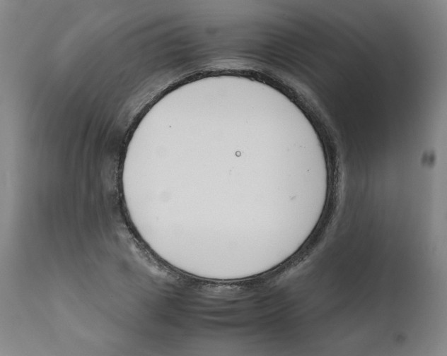 X0000111880833200908201255