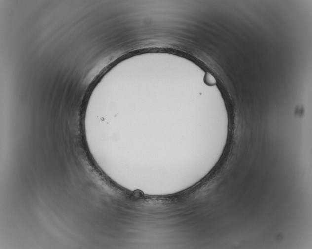 X0000111880834200908201255