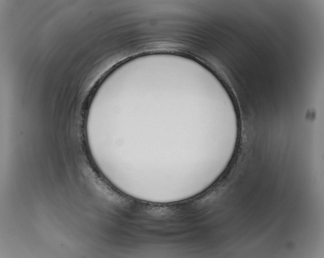 X0000111880835200908201255