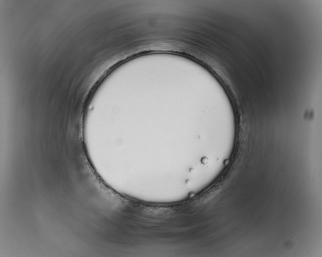 X0000111880837200908201255