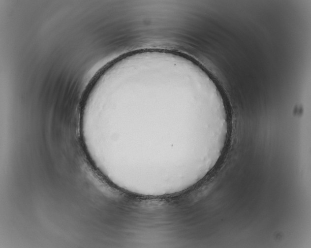 X0000111880838200908201255