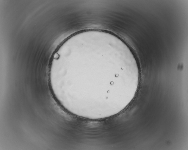 X0000111880839200908201255