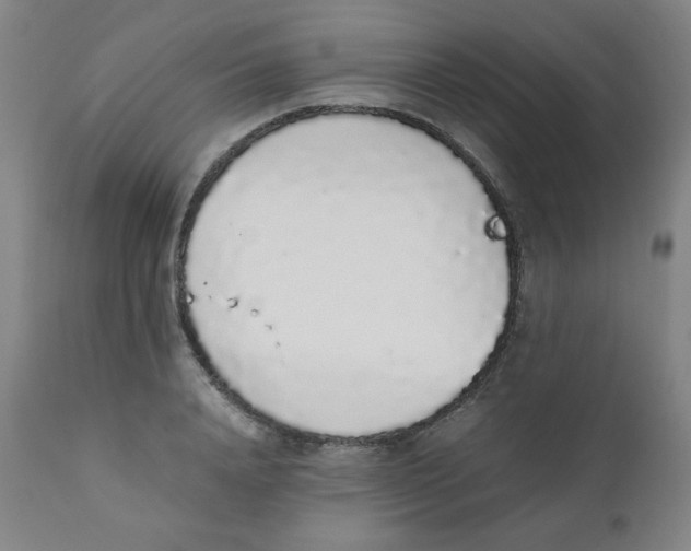 X0000111880840200908201255