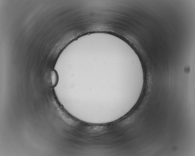 X0000111880841200908201255