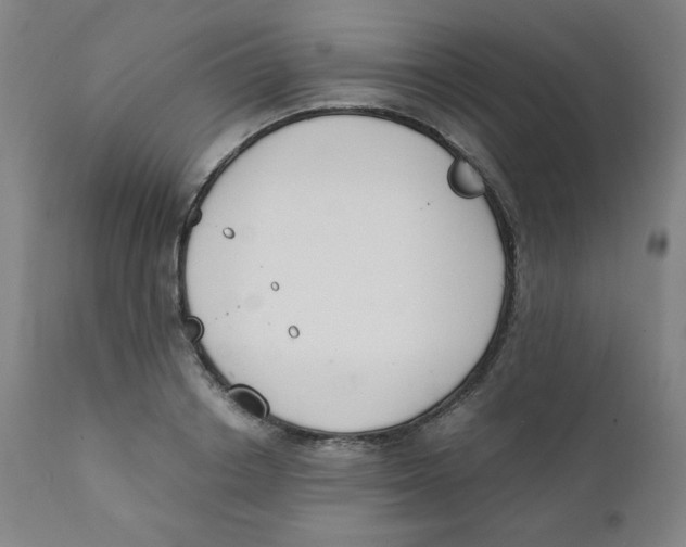 X0000111880842200908201255