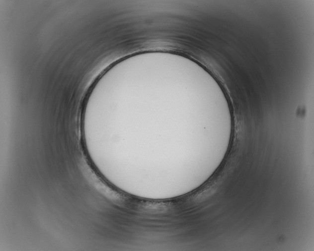 X0000111880843200908201255